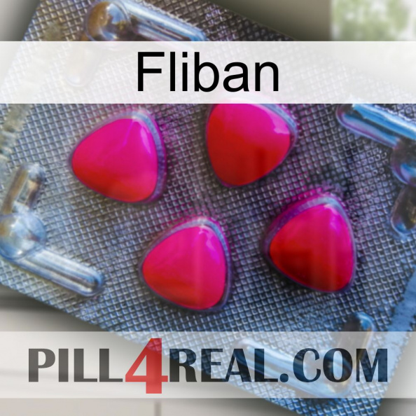 Fliban 13